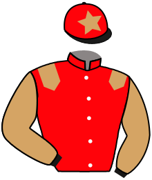 Casaque du n°4