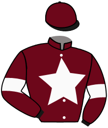 Casaque du n°8