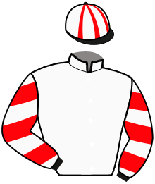 Casaque du n°5