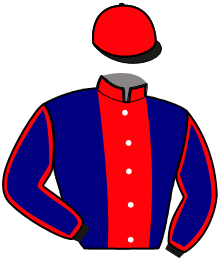 Casaque du n°9