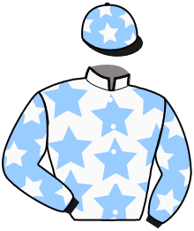 Casaque du n°3