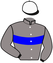 Casaque du n°3