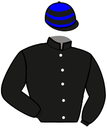 Casaque du n°8