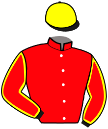 Casaque du n°10