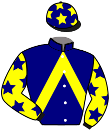 Casaque du n°15