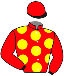 Casaque du n°2