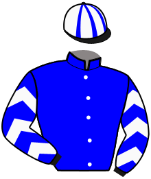 Casaque du n°11