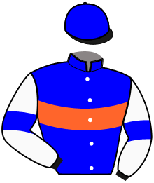 Casaque du n°7