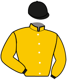 Casaque du n°12