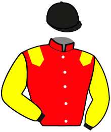 Casaque du n°2