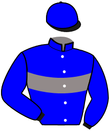 Casaque du n°3