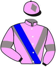 Casaque du n°11