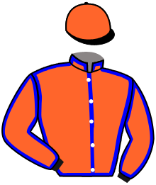 Casaque du n°6