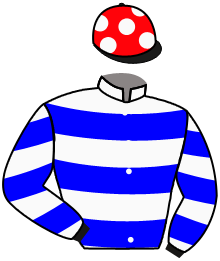 Casaque du n°10