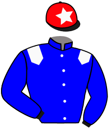 Casaque du n°13