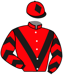 Casaque du n°14
