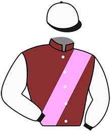 Casaque du n°3