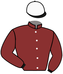 Casaque du n°3