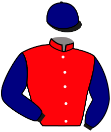 Casaque du n°4