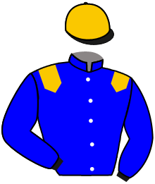Casaque du n°2