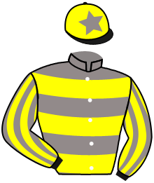 Casaque du n°9