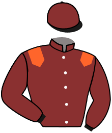 Casaque du n°1