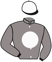 Casaque du n°6
