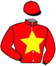 Casaque du n°13