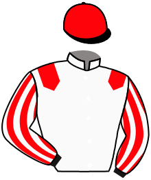 Casaque du n°3