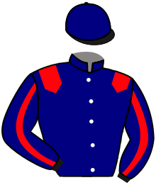 Casaque du n°10