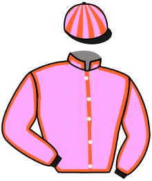 Casaque du n°10