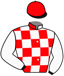 Casaque du n°11