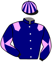 Casaque du n°13