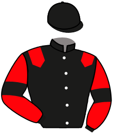 Casaque du n°3