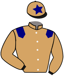 Casaque du n°7