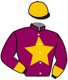 Casaque du n°15