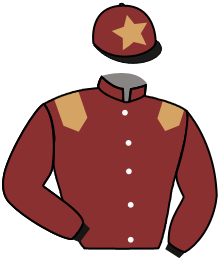 Casaque du n°5