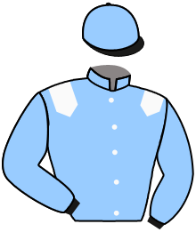 Casaque du n°11