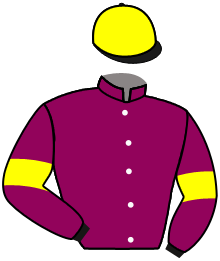 Casaque du n°12