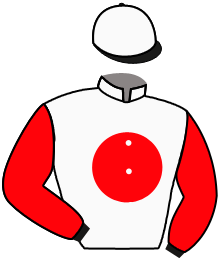 Casaque du n°9