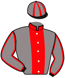 Casaque du n°9