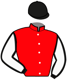 Casaque du n°1