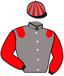 Casaque du n°7