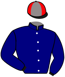 Casaque du n°9