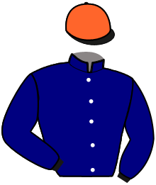 Casaque du n°12