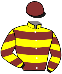 Casaque du n°13