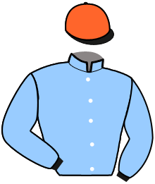Casaque du n°17