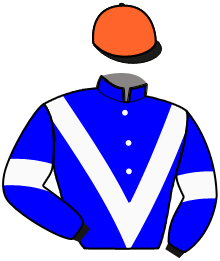 Casaque du n°3