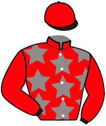 Casaque du n°6