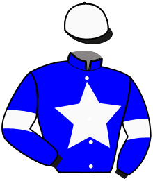 Casaque de Ecurie BEST